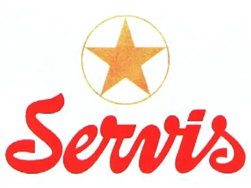 Service Industries Limited: performance and outlook