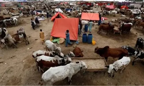 Eid-ul-Azha Mubarak Eid-ul-Azha Mubarak