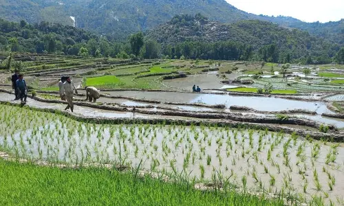 KP to launch agri uplift schemes in merged districts