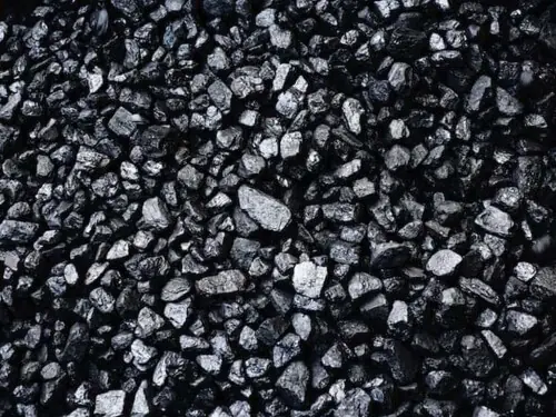 Body formed to probe award of coal terminal contract