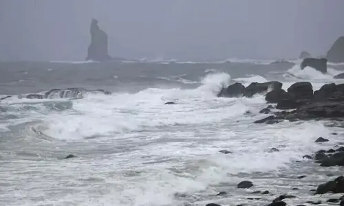 Tropical storm Jangmi batters Japan, cuts power to 60,000 homes