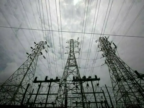 Electricity laws: NA panel approves 2 amendments sans debate
