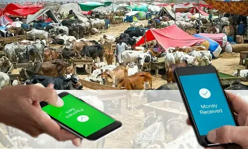 عید الاضحی پر اسٹیٹ بینک کی گو کیش لیس مہم کامیاب، 34 ارب روپے کی ڈیجیٹل ٹرانزیکشنز