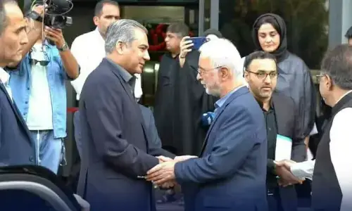 پاک ایران وزرائے داخلہ ملاقات، علاقائی استحکام اور امن و امان پر تبادلہ خیال
