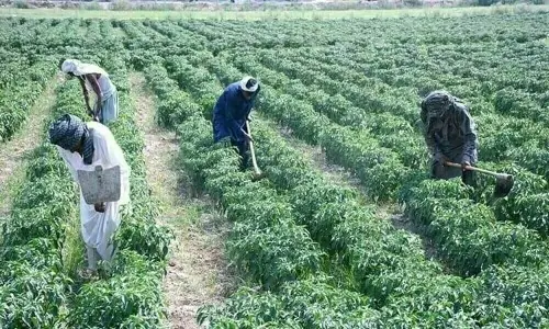 A long-overdue harvest of common sense