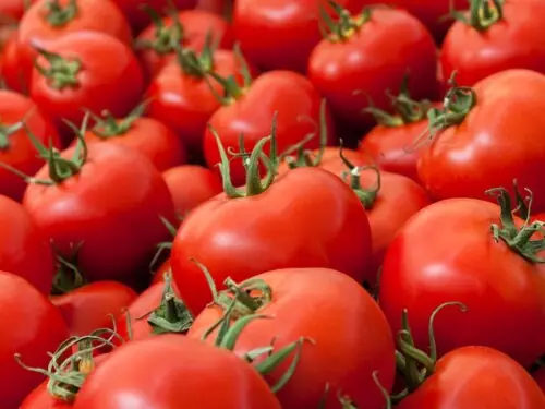 &lsquo;Industrial tomato&rsquo; varieties: Chinese research center, Pakistani food company ink MoU