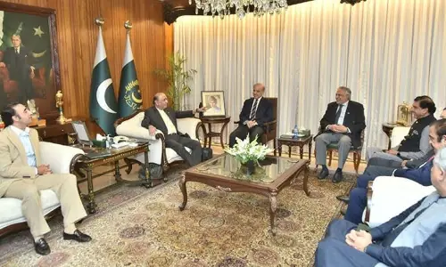 PPP &lsquo;greenlights&rsquo; budget support