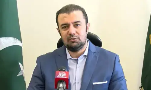 Federal Budget on 12th: Schehzad