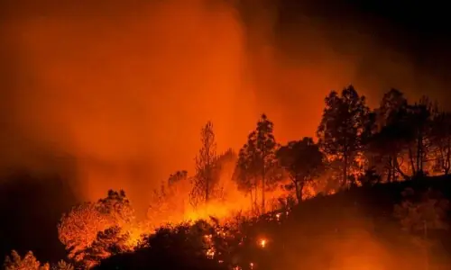 Forest fires: A growing environmental emergency