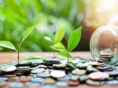 Rs476bn allocated for green equipment Rs476bn allocated for green equipment