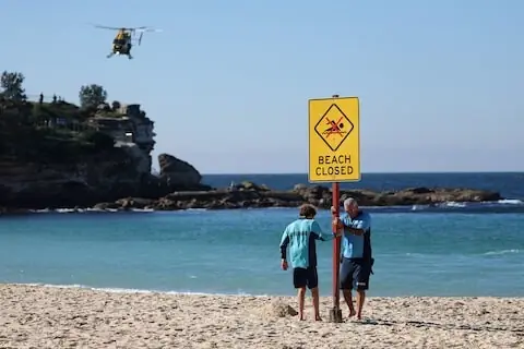 Shark attack pushes Australian state to review drone curbs Shark attack pushes Australian state to review drone curbs