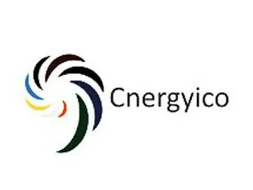 Cnergyico Pakistan Limited