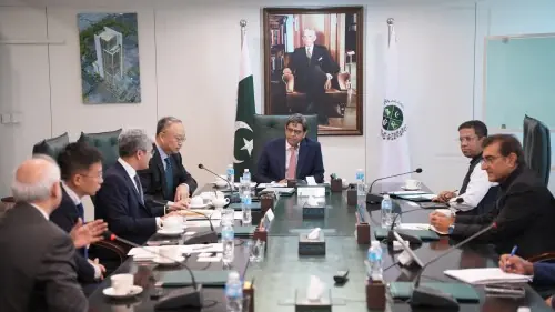 Chinese investors to increase investment in Pakistan&rsquo;s capital markets