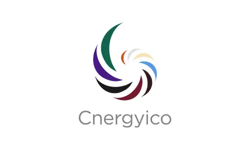 Cnergyico Pakistan Limited