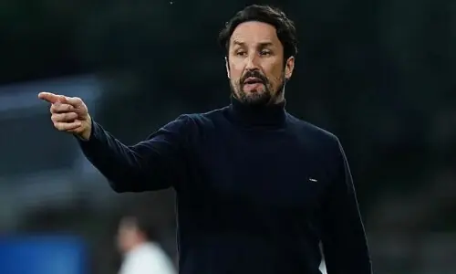 Wolves appoint Peixoto as new boss Wolves appoint Peixoto as new boss