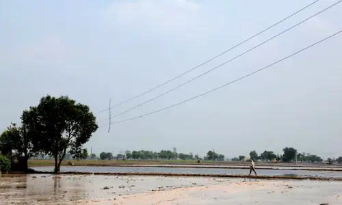 India File: Searing El Ni&ntilde;o tests crop buffers, exposes workers