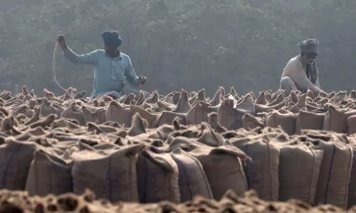 India&rsquo;s rice stocks climb to record high