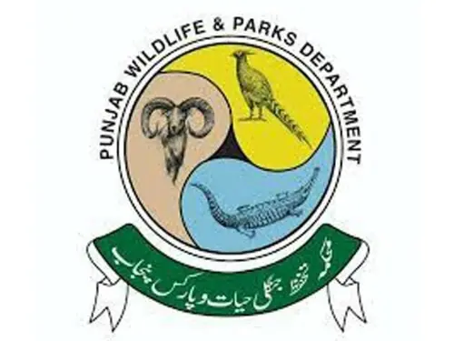 Punjab wildlife crackdown nets nine suspects province-wide