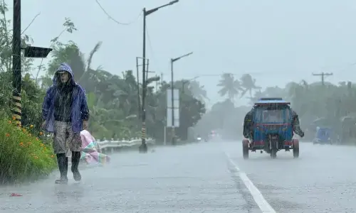 Hong Kong hoists highest rain signal, closes schools