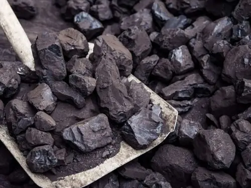 India’s thermal coal imports drop to 4-year low India’s thermal coal imports drop to 4-year low