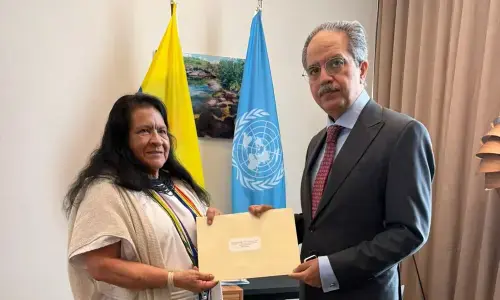 سندھ طاس معاہدے کی بھارتی خلاف ورزیاں، پاکستان نے خط صدر سلامتی کونسل کو دیدیا