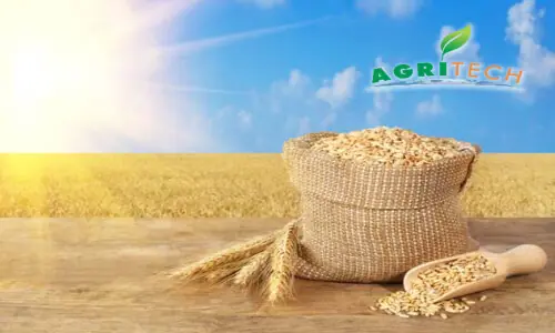 Agritech Limited