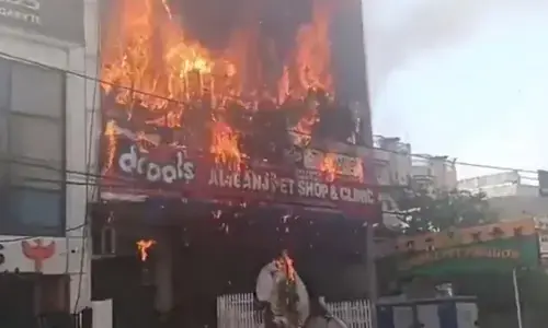بھارت کے شہر لکھنؤ میں تربیتی مرکز میں آگ لگنے سے 8 افراد ہلاک، پولیس