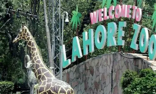 Lahore Zoo breeds rare exotic species successfully
