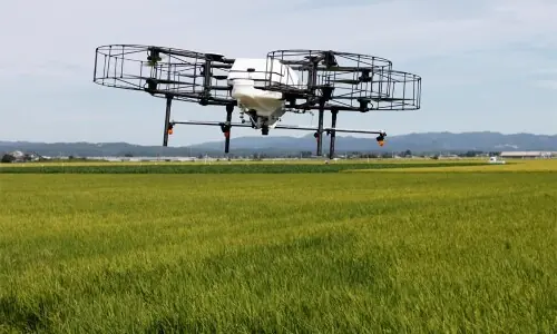 How AI can reshape Pakistani agriculture