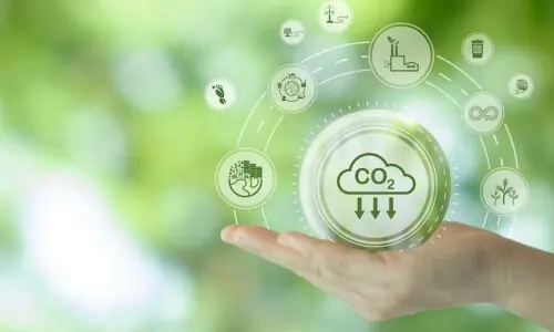Efforts accelerated to set up domestic carbon market, ETS