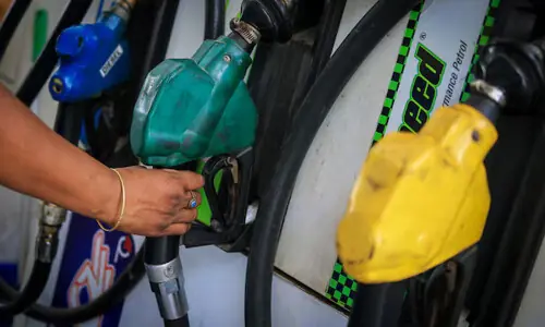 India's auto industry defends ethanol fuel mandate amid backlash
