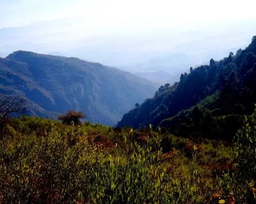 Keeping protected areas protected
