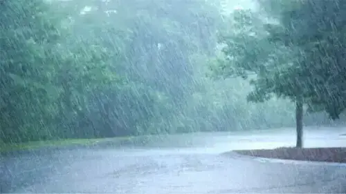 The Weather