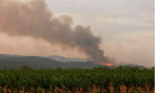Wildfires in southern Spain kill 12, emergency agency says Wildfires in southern Spain kill 12, emergency agency says