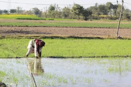 Pakistan's irrigation system is dying