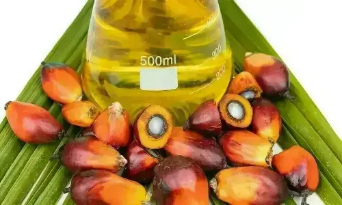 Malaysian palm oil gains on Chicago soyoil strength