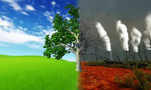Climate change and its impact on cotton production Climate change and its impact on cotton production
