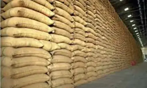 پنجاب میں سرکاری گندم کا اجراء، نرخ 3800 روپے من مقرر