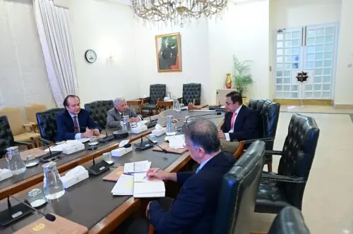 Govt to ensure adequate wheat, fuel supplies: Ahad Cheema