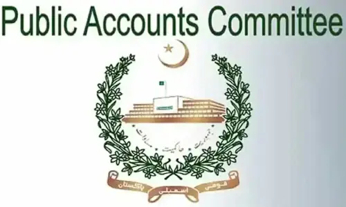 PAC unhappy over embezzlement in power sector entities