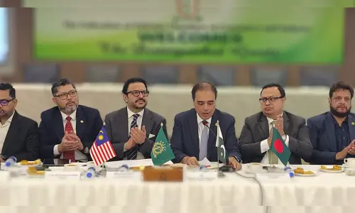 Pakistan urges greater private-sector role to boost D-8 economic integration
