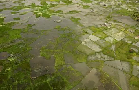 Africa facing $10-$20 billion economic hit from 'super' El Ni&ntilde;o, AfDB climate chief warns