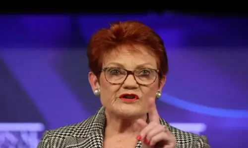 Pauline Hanson&rsquo;s misdemeanour