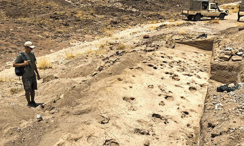 Kenyan footprints shed light on prehistoric human cousin Paranthropus