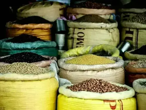 Lahore Grain Market Rates