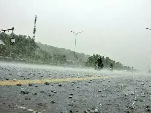 The Weather