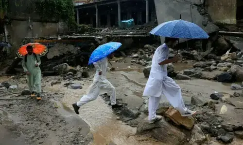 Rain-related incidents: 46 lost lives in Punjab: PDMA