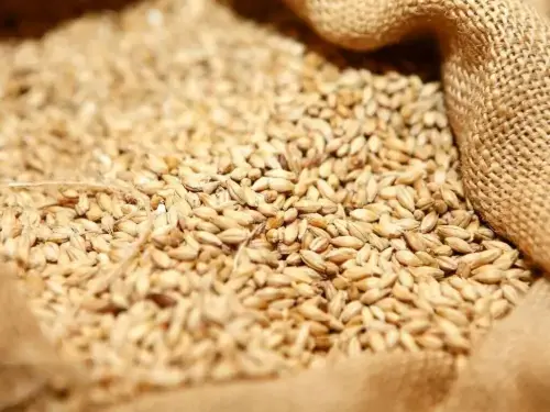 CBoT wheat futures drift lower CBoT wheat futures drift lower