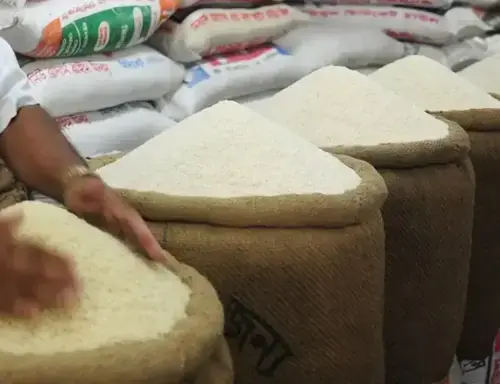 Liquidating the aquifer: the true cost of Pakistan&rsquo;s rice exports