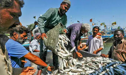 New fishing season begins amid financial pressures